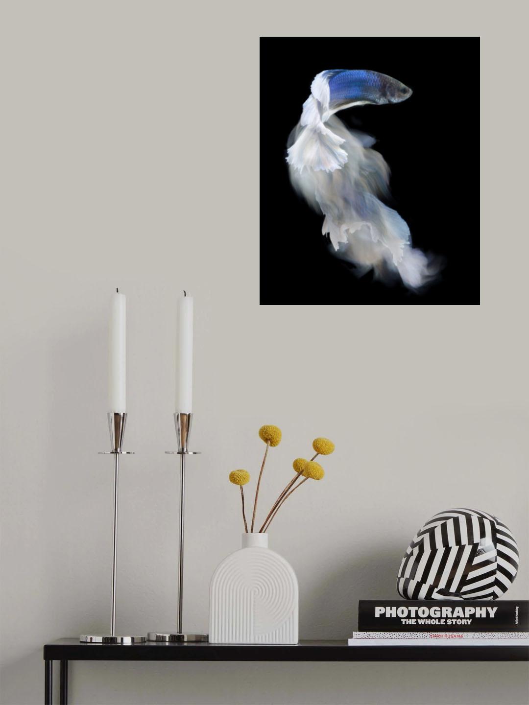 Blue and white bettafish Poster och Canvastavla