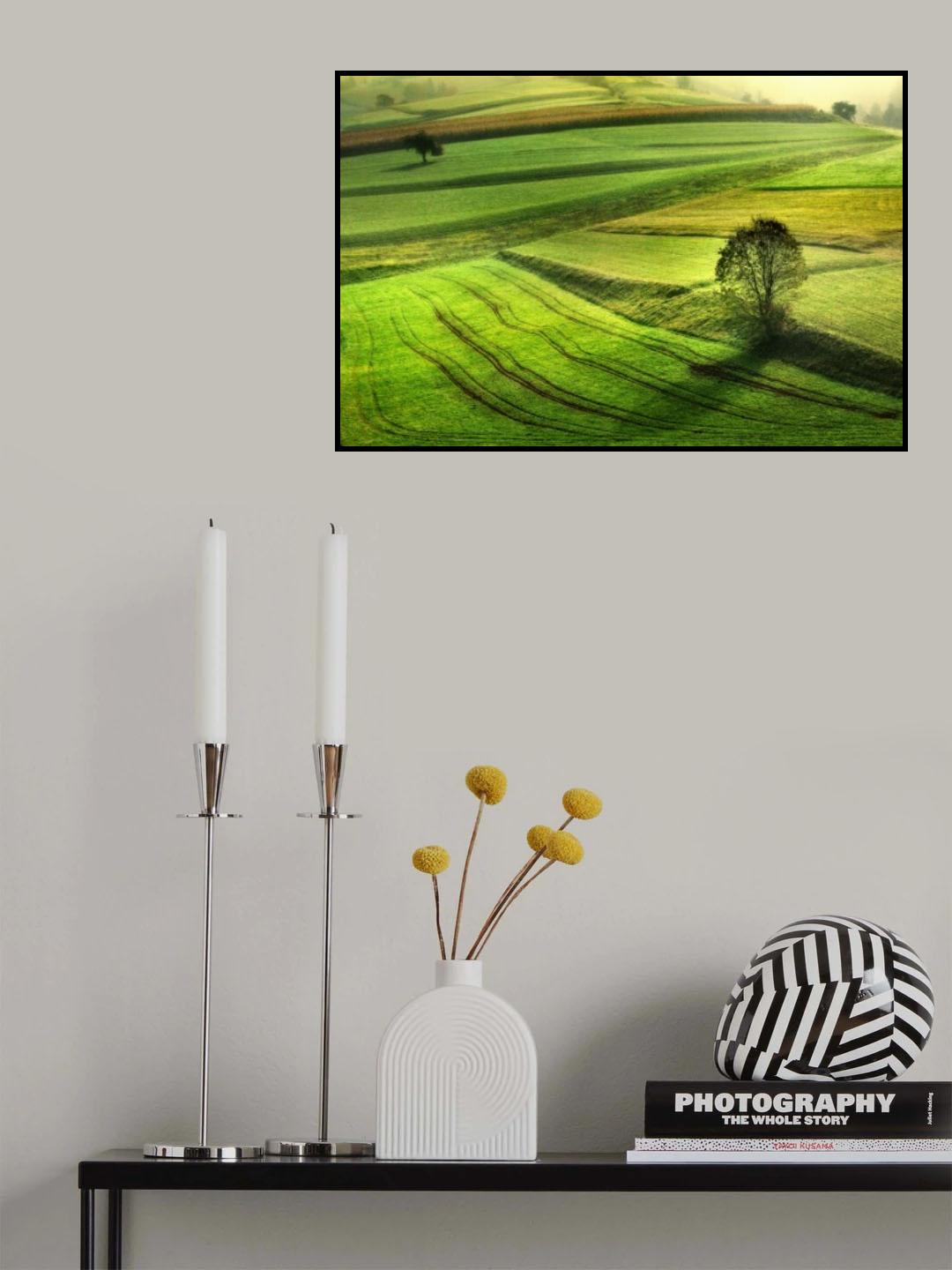 Morning in green Poster och Canvastavla