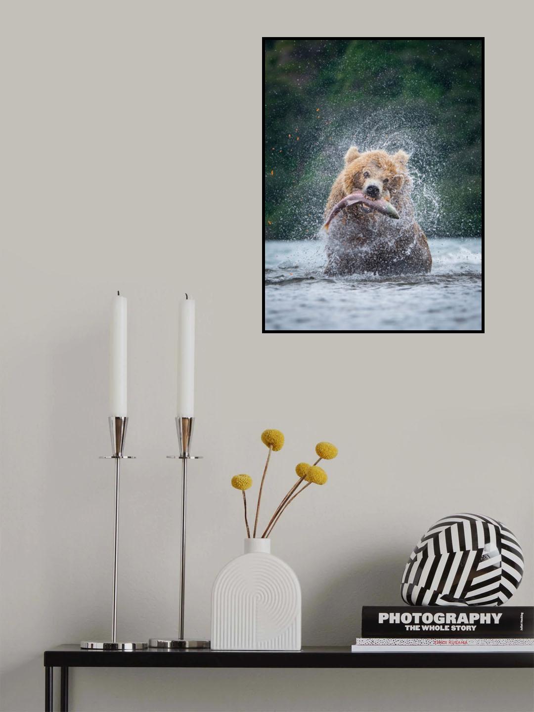 The Kamchatka brown bear, Ursus arctos Poster och Canvastavla