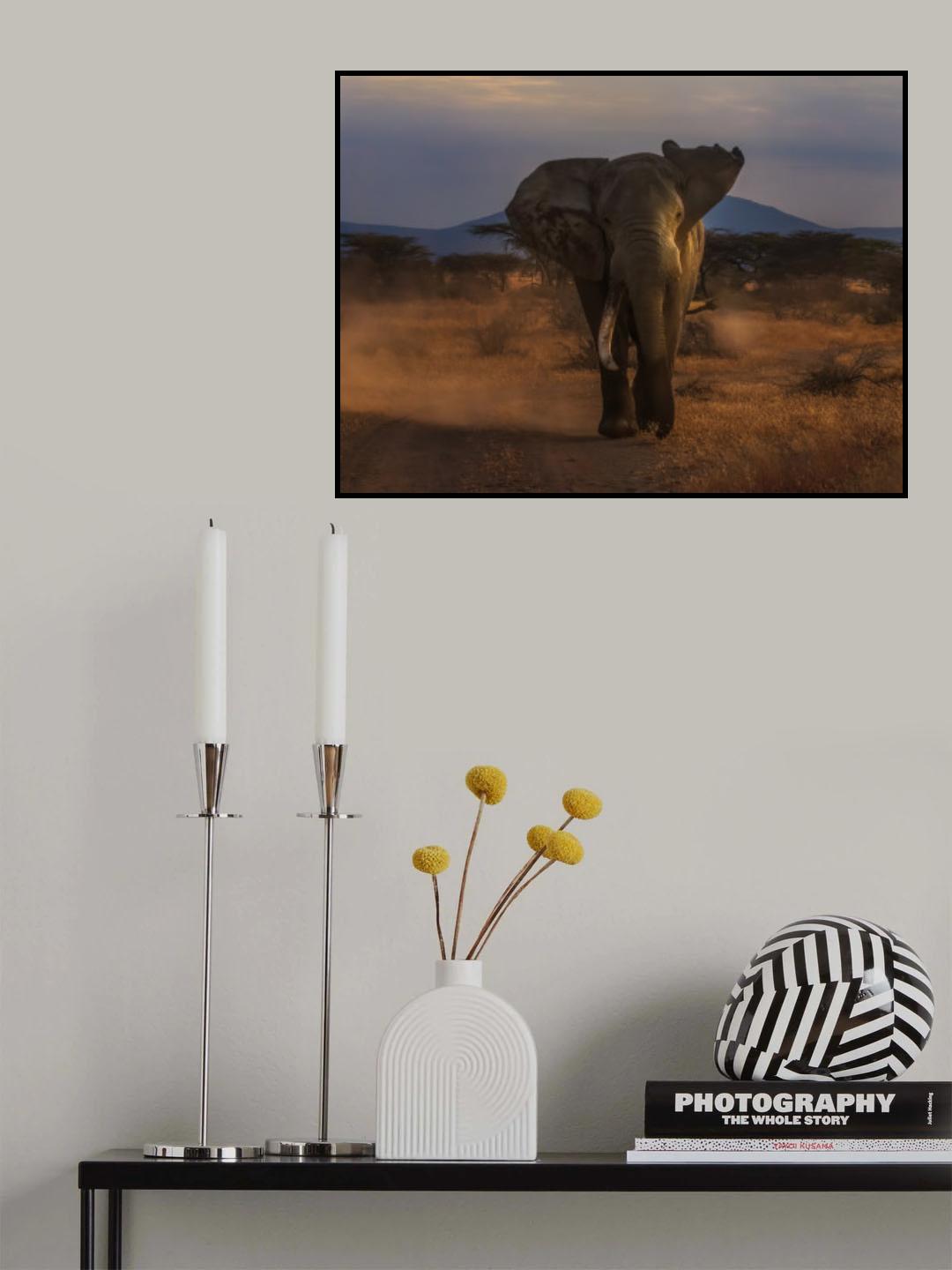 Angry Elephant Poster och Canvastavla