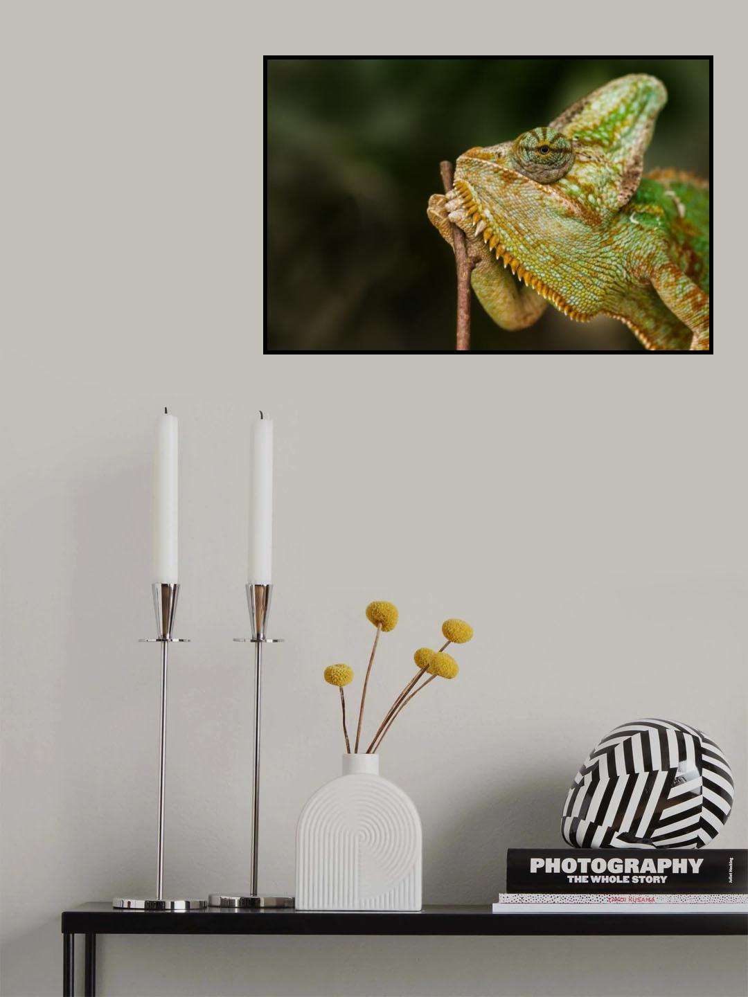Old man Poster och Canvastavla