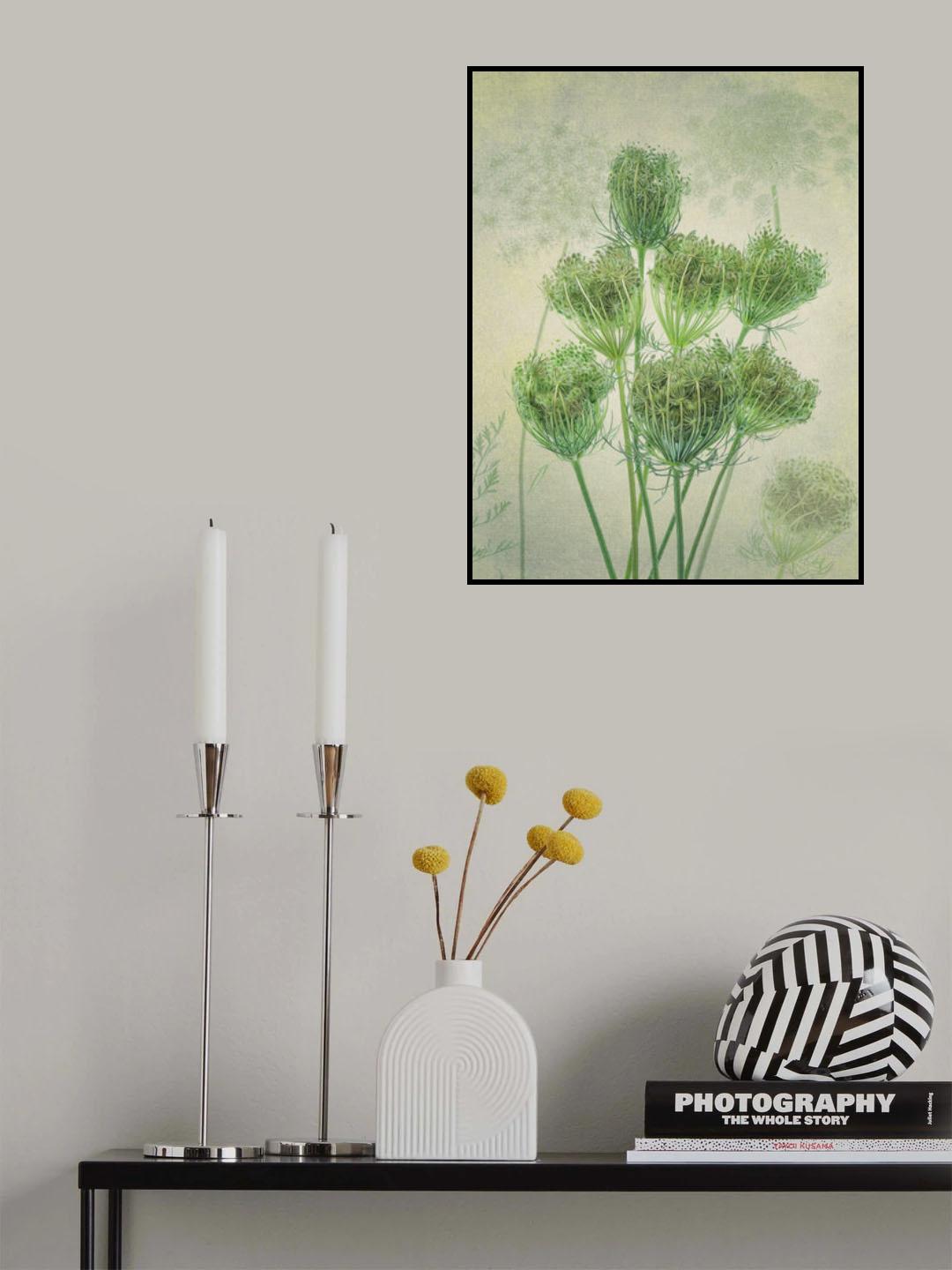 Wild Carrot 2 Poster och Canvastavla