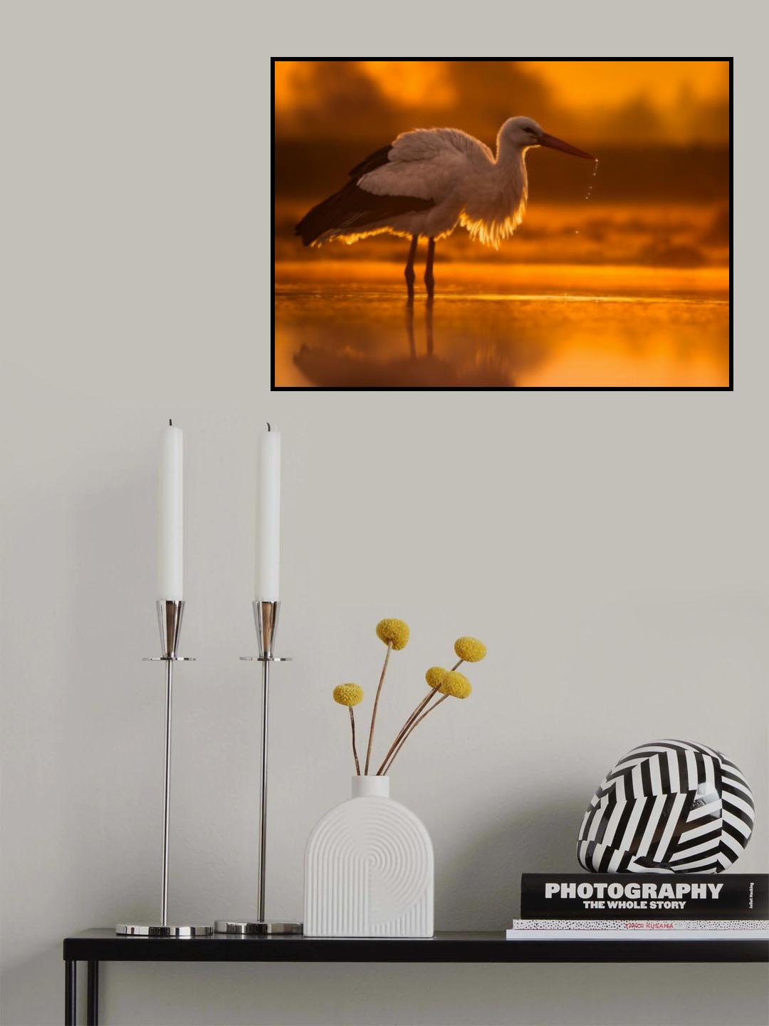 Sunbath Poster och Canvastavla