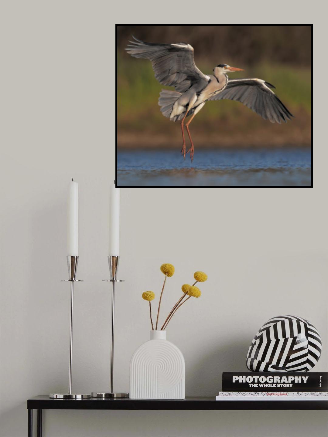Like an Angel Poster och Canvastavla