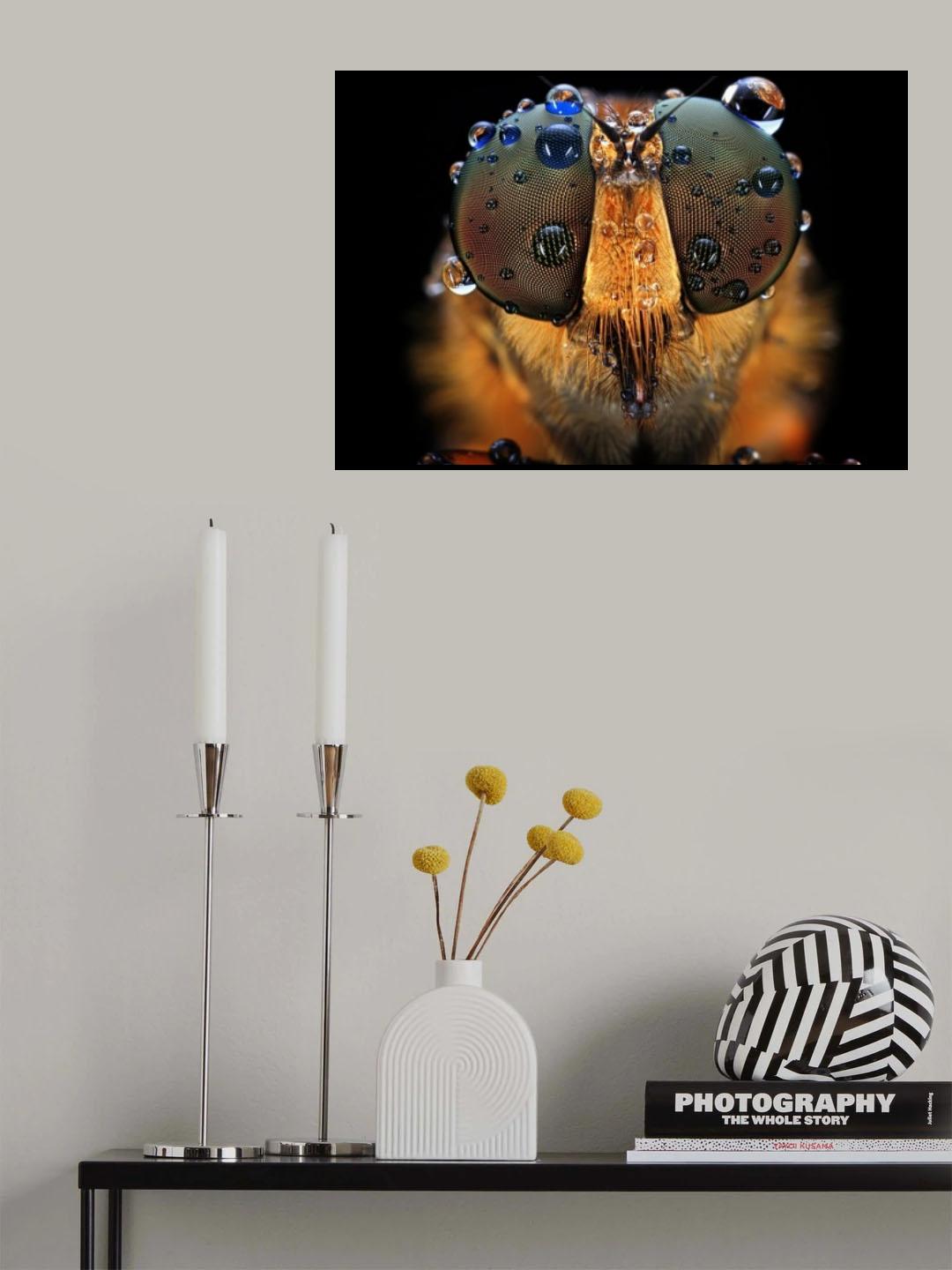 morning dew Poster och Canvastavla