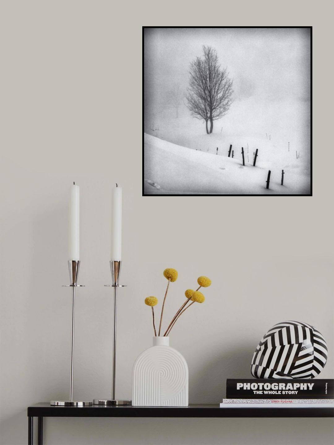 In the fog 2 Poster och Canvastavla