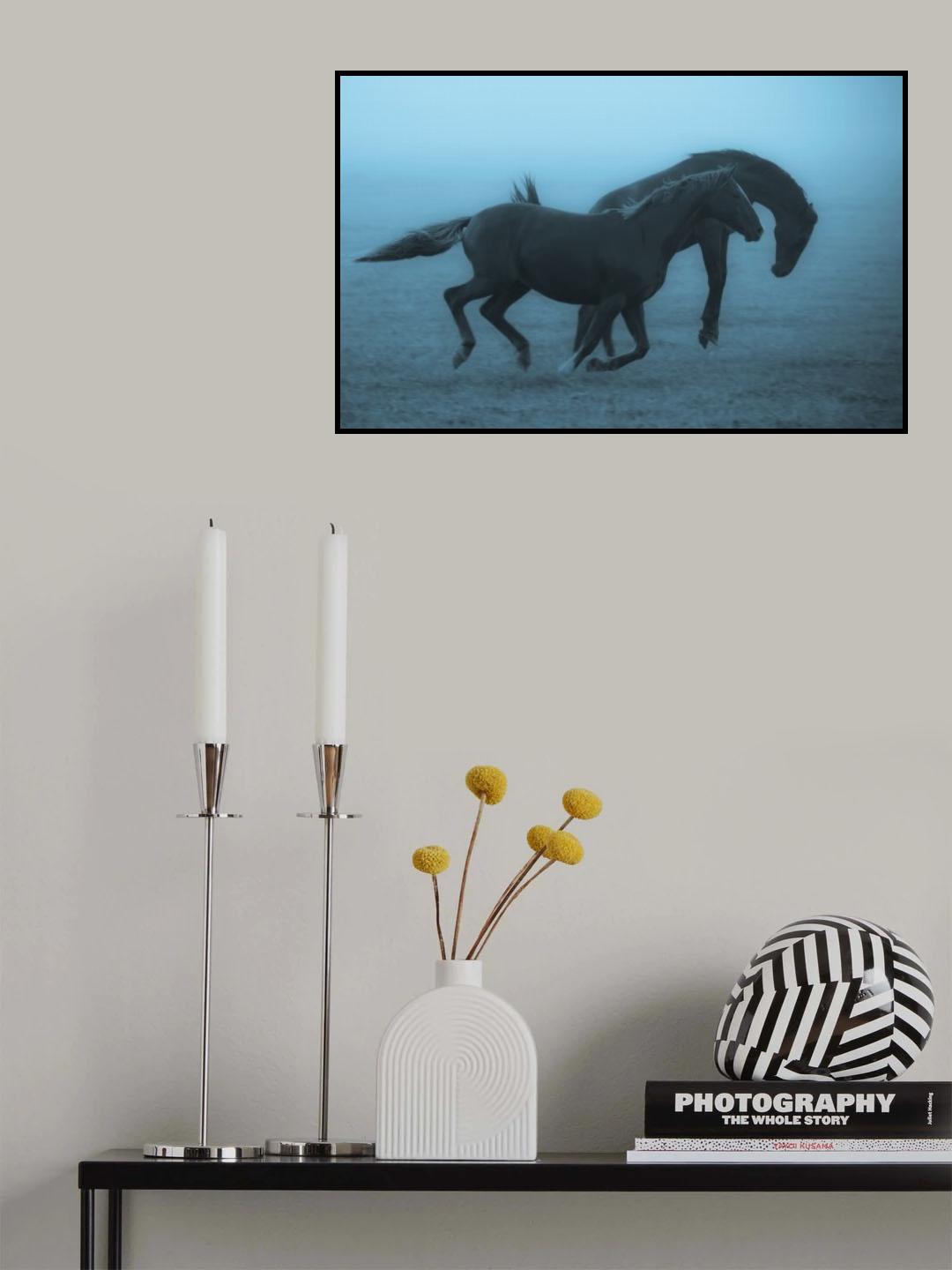 Horses in the fog Poster och Canvastavla