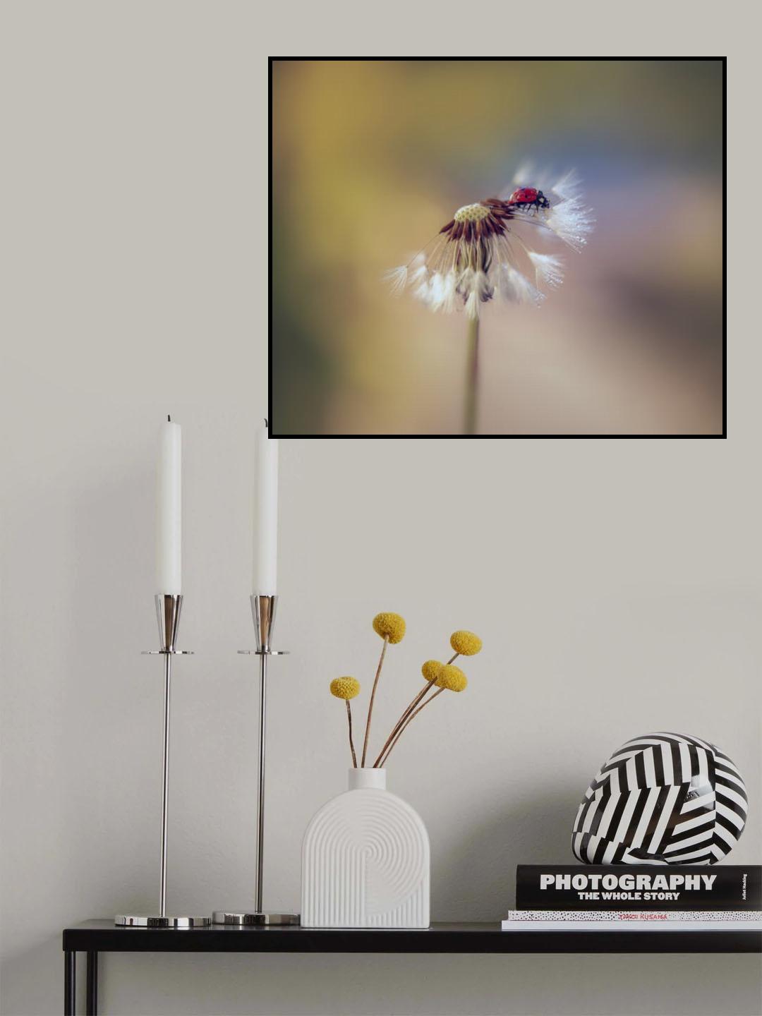 dandelion Poster och Canvastavla