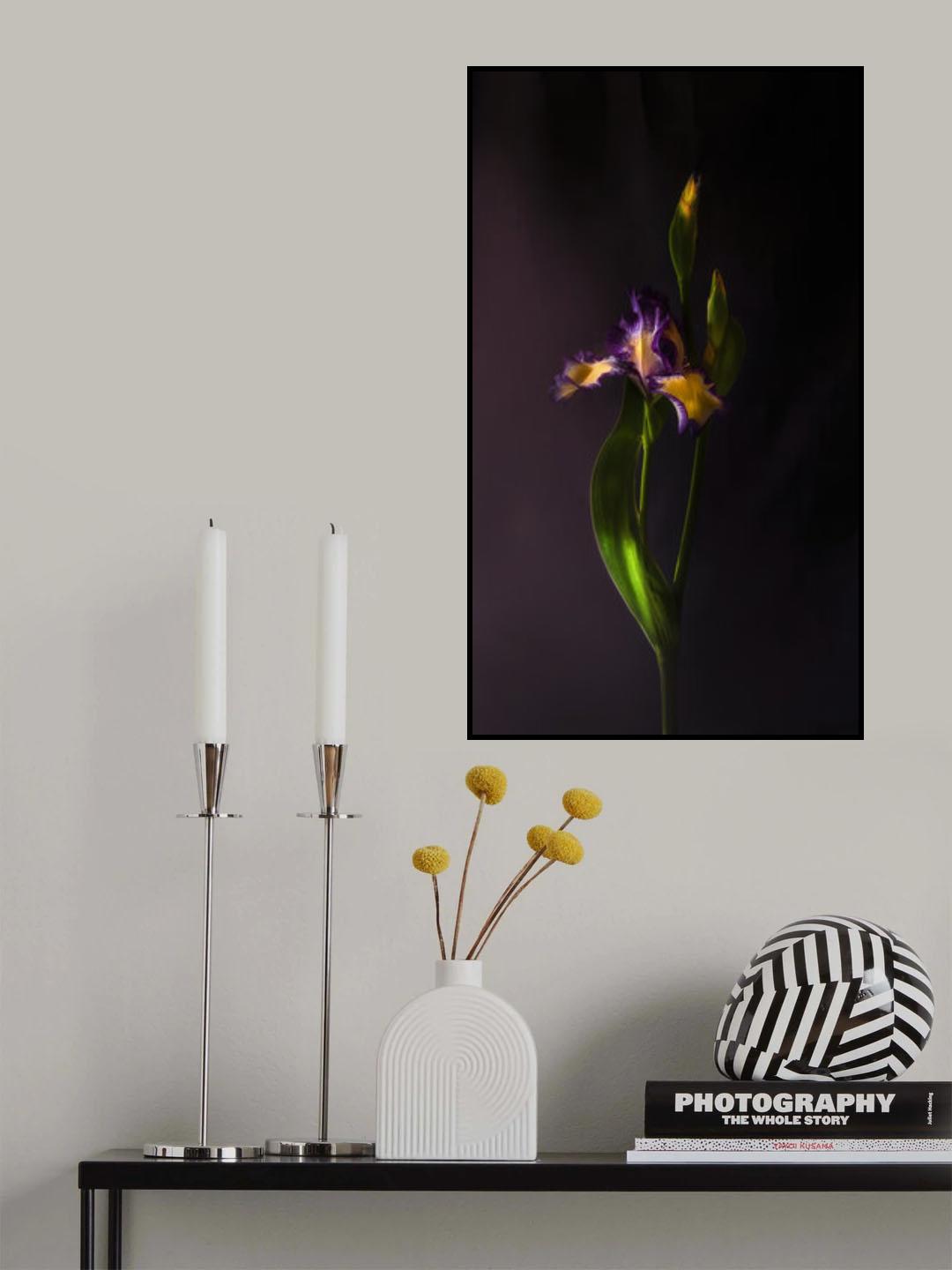 Messenger of love. Poster och Canvastavla