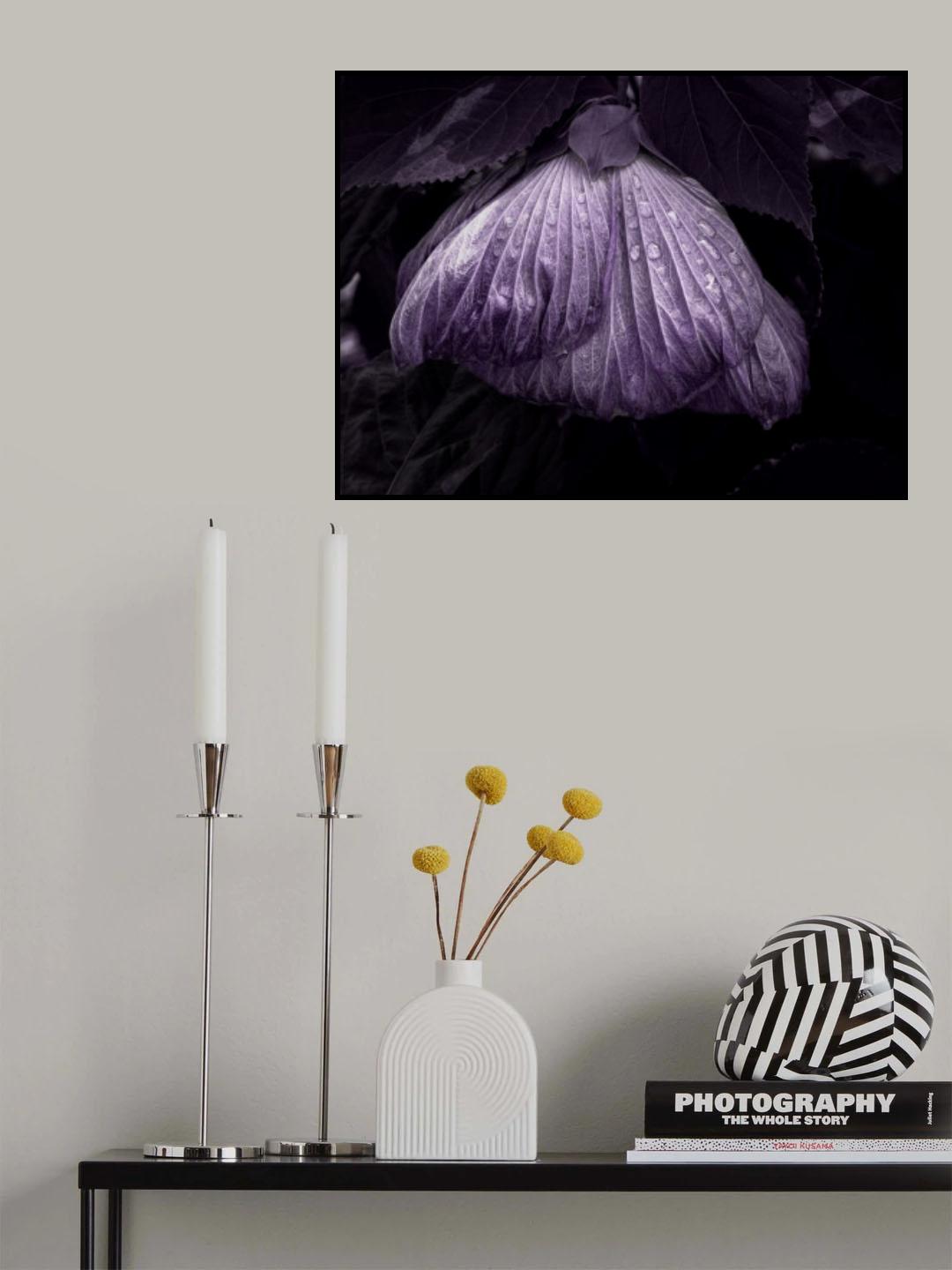 DroOops Poster och Canvastavla