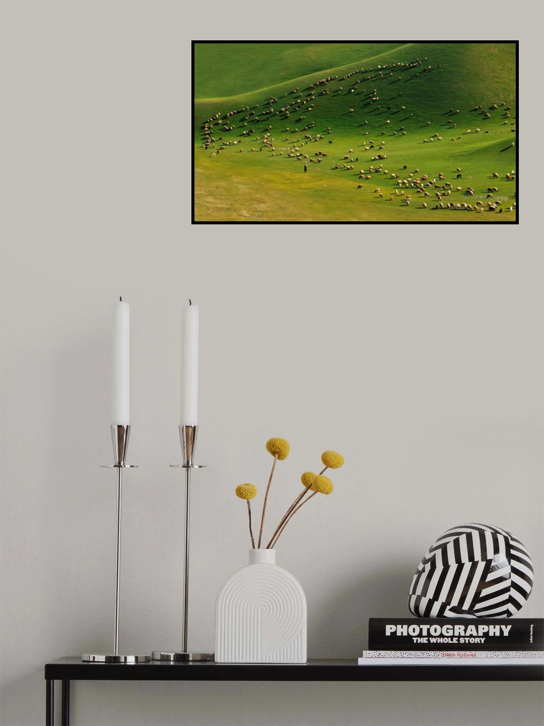 Shadows Poster och Canvastavla