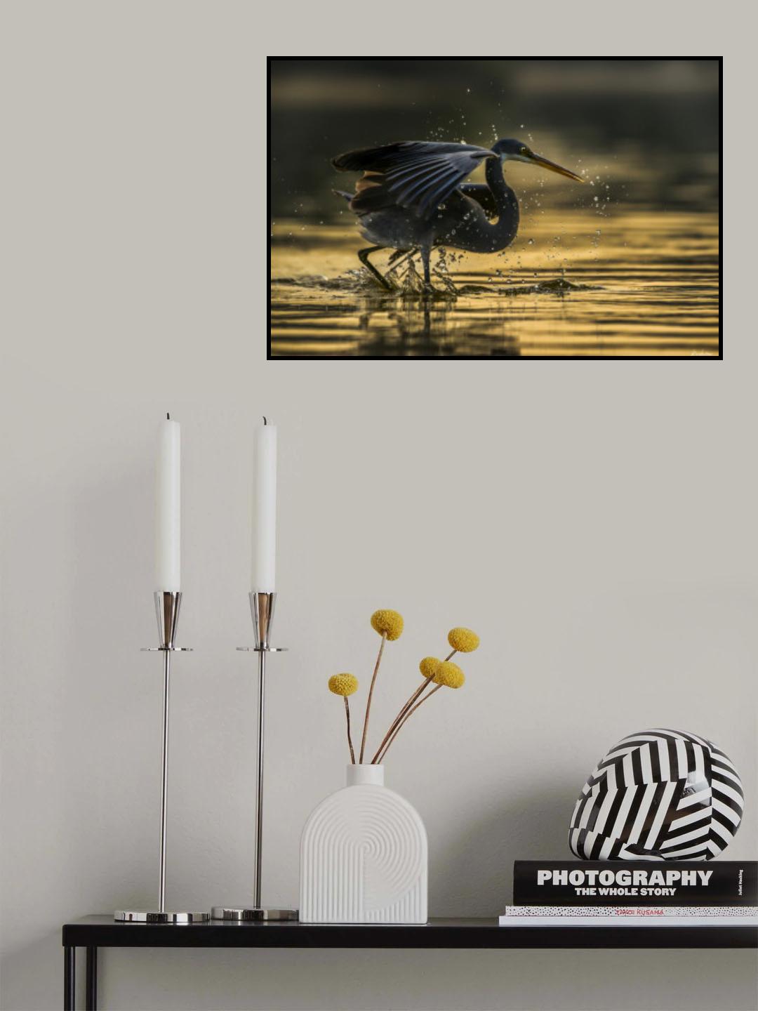 Golden Bath Poster och Canvastavla