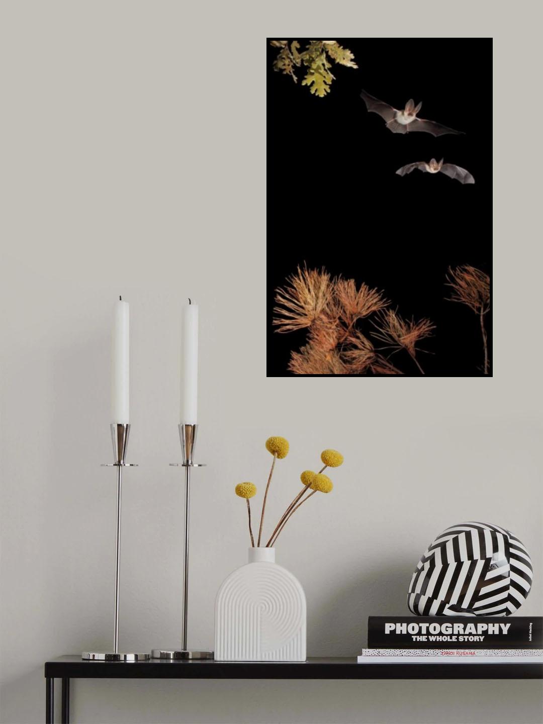 Bats and Halloween Poster och Canvastavla