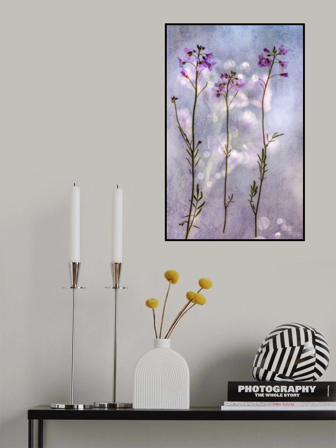 three fragile beauties Poster och Canvastavla