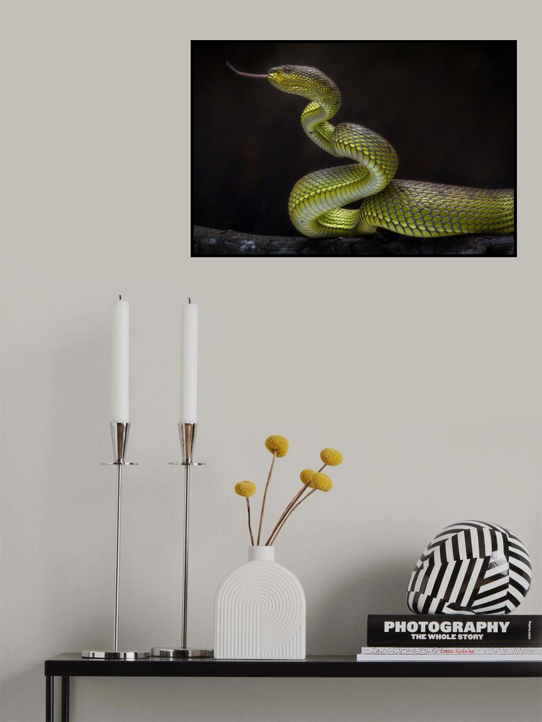 Scary Green Viper Poster och Canvastavla