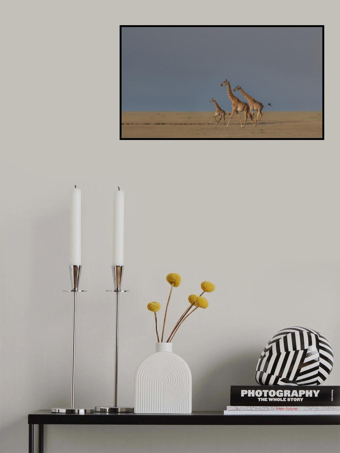 Giraffe family run Poster och Canvastavla