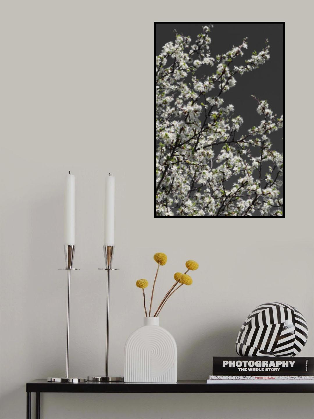 Spring branches Poster och Canvastavla
