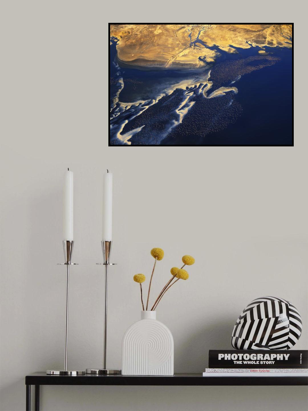 Thousands of birds Poster och Canvastavla