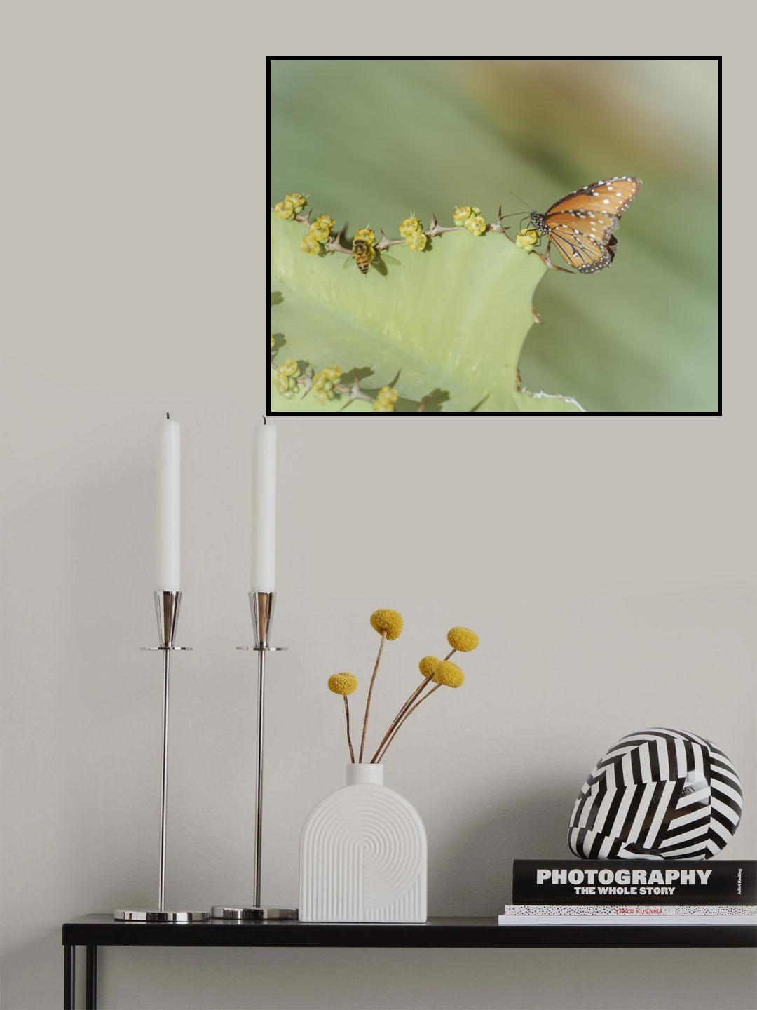 Sharing Poster och Canvastavla