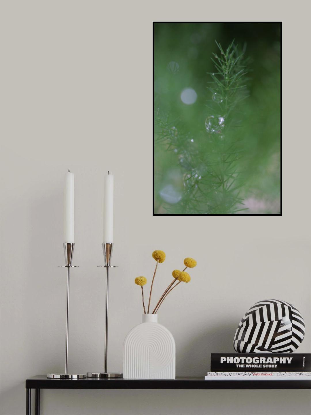 Aspa II Poster och Canvastavla