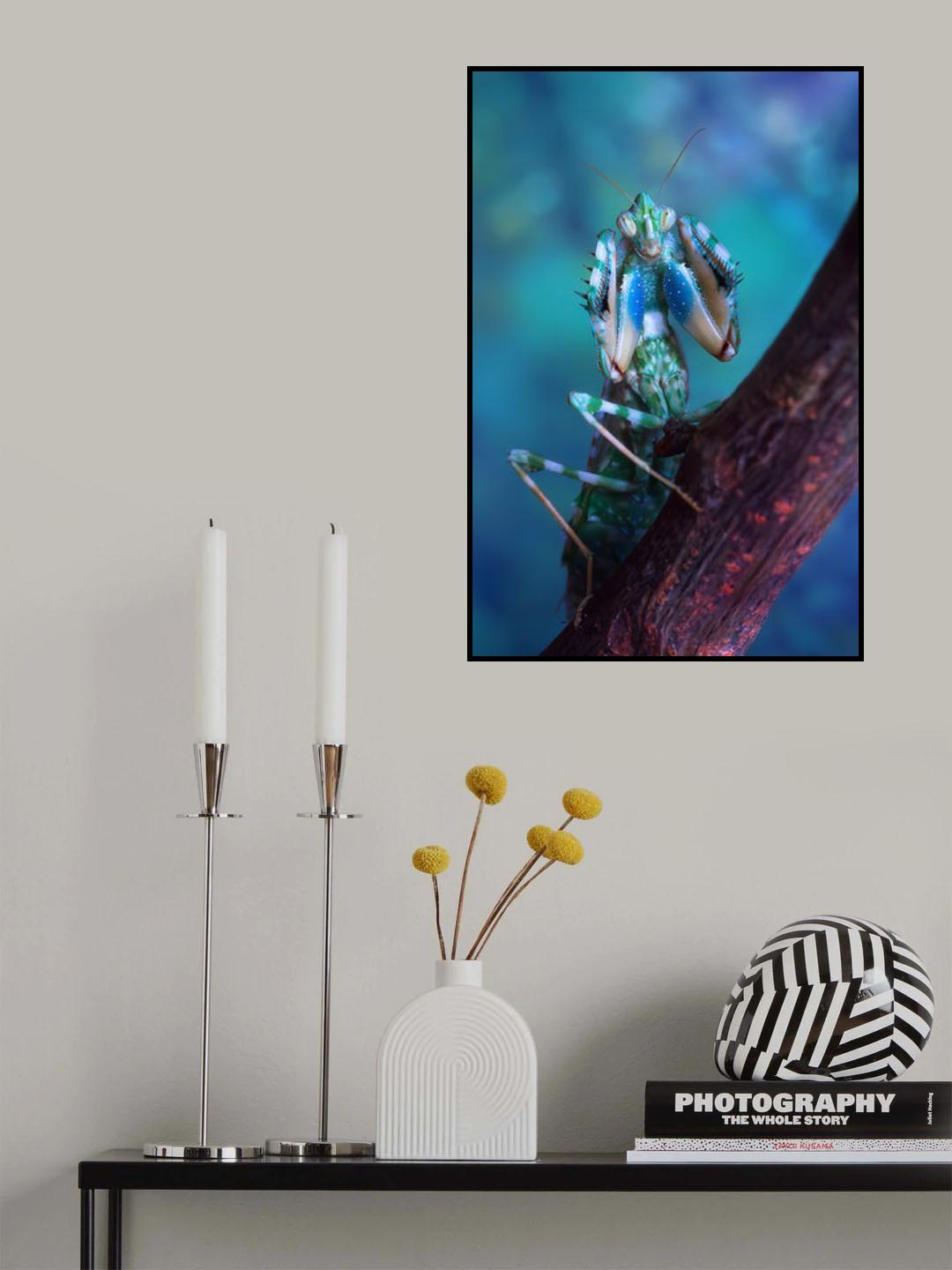 Bluff Poster och Canvastavla