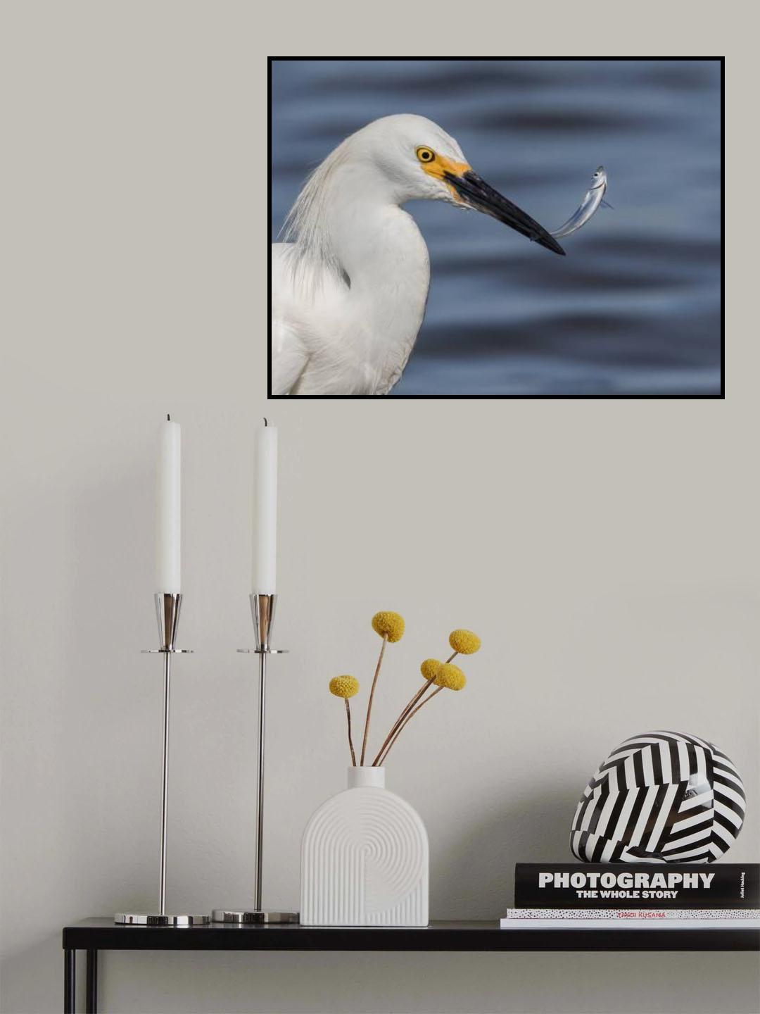 fisherman Poster och Canvastavla