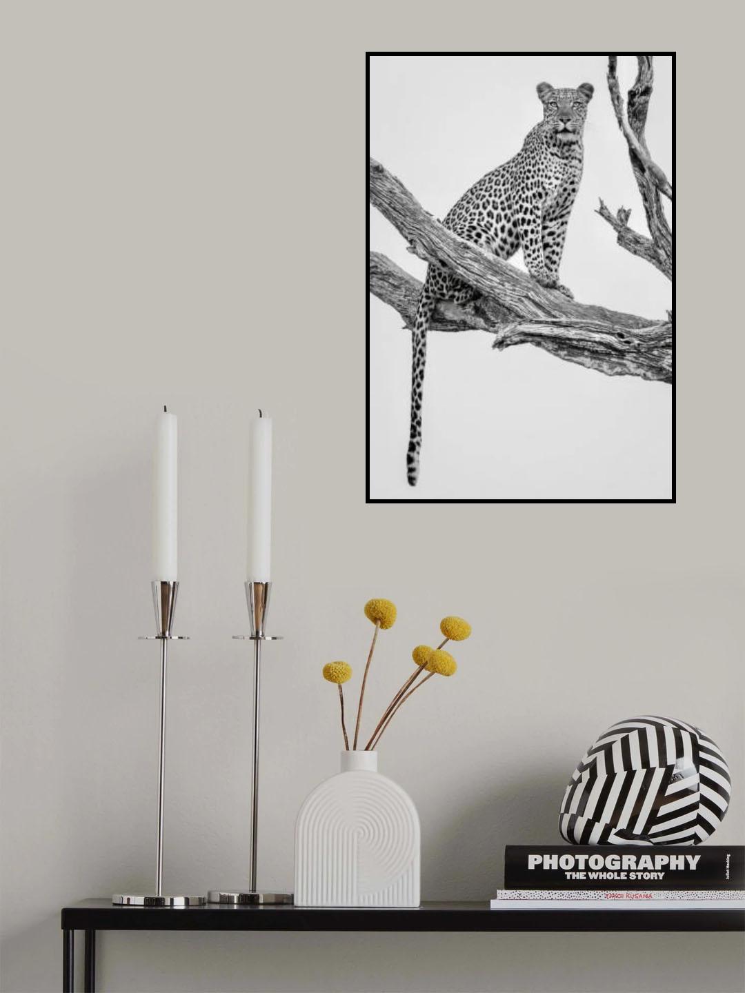 Leopard Portrait - Mono Var Poster och Canvastavla