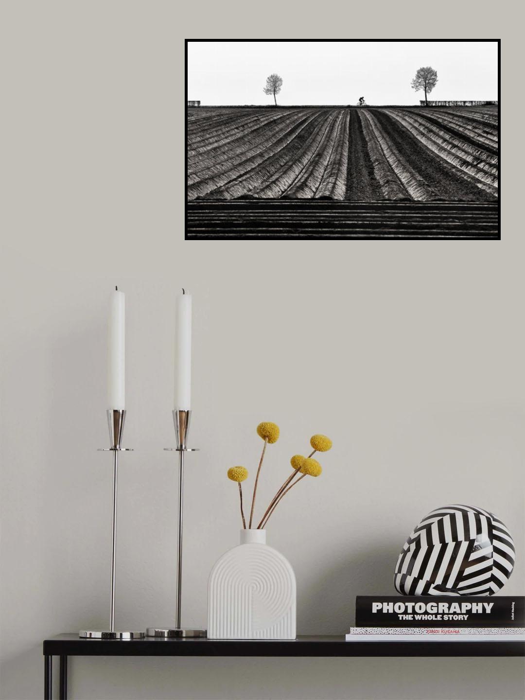 Tour of Flanders Poster och Canvastavla