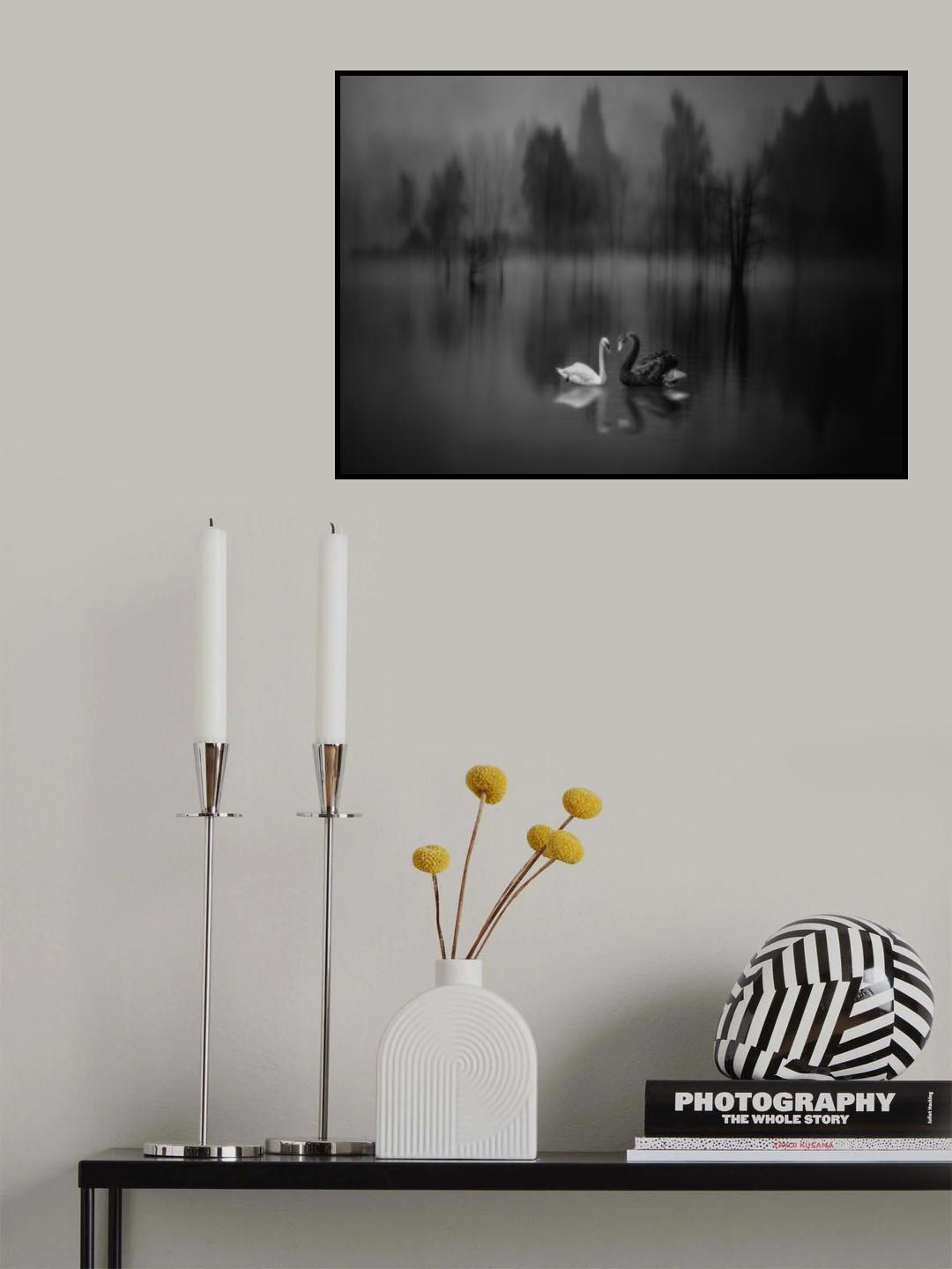 Swan Lake Poster och Canvastavla
