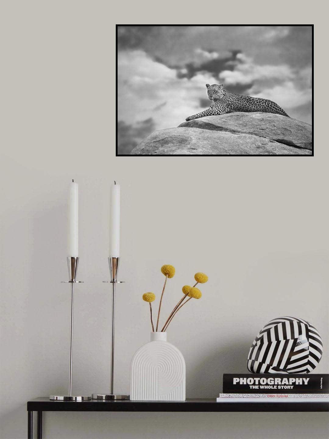 Leopard on a Kopje Poster och Canvastavla