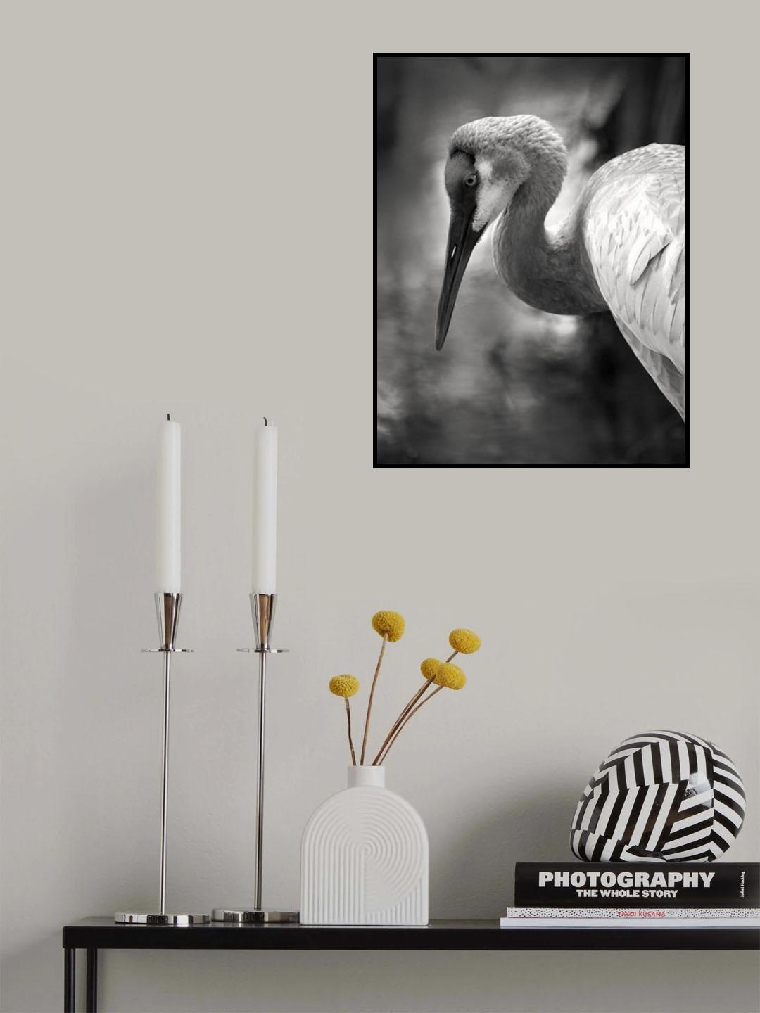 The Sandhill Crane on the pond Poster och Canvastavla