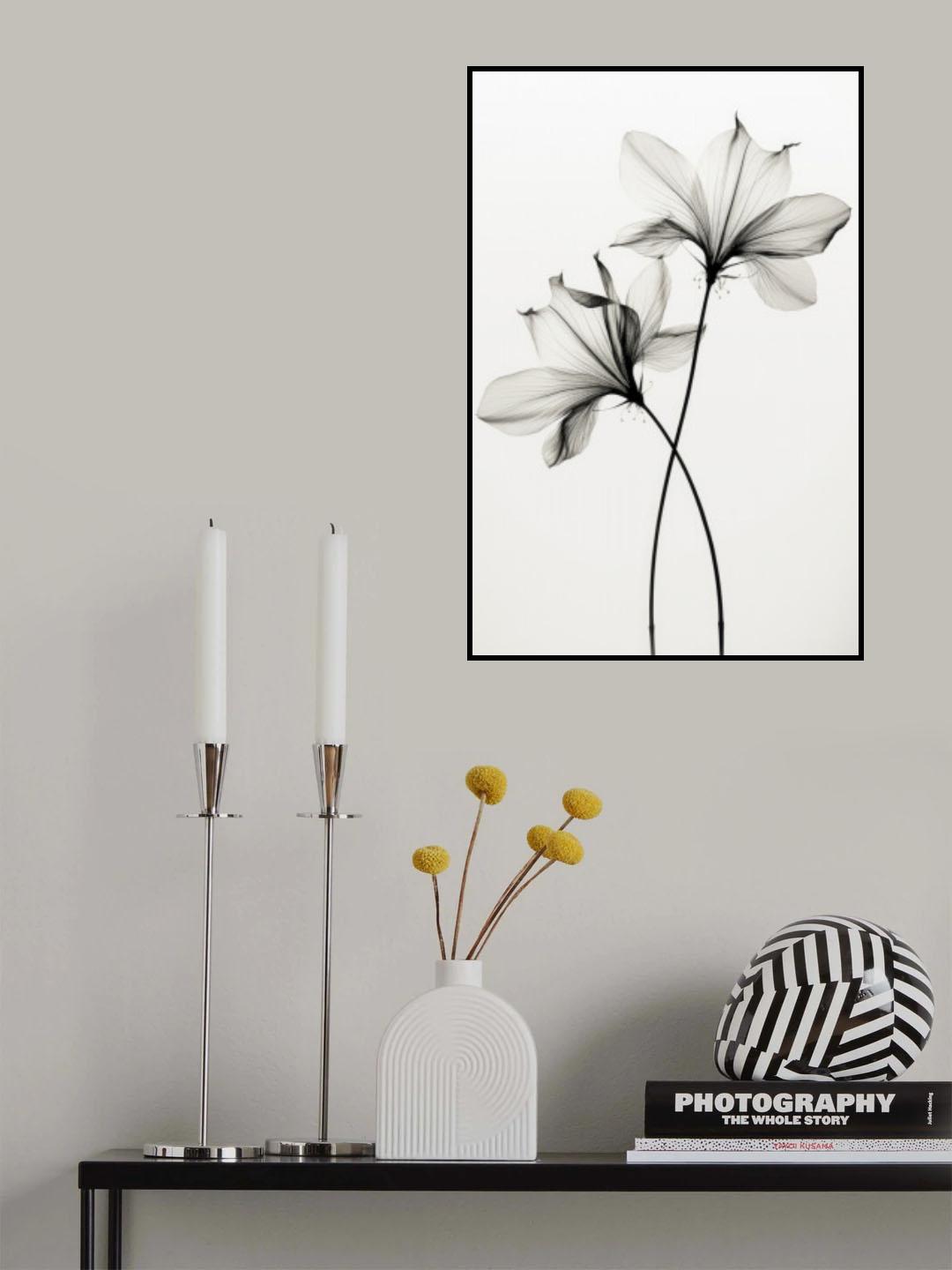 Transparent Botanic No 6 Poster och Canvastavla