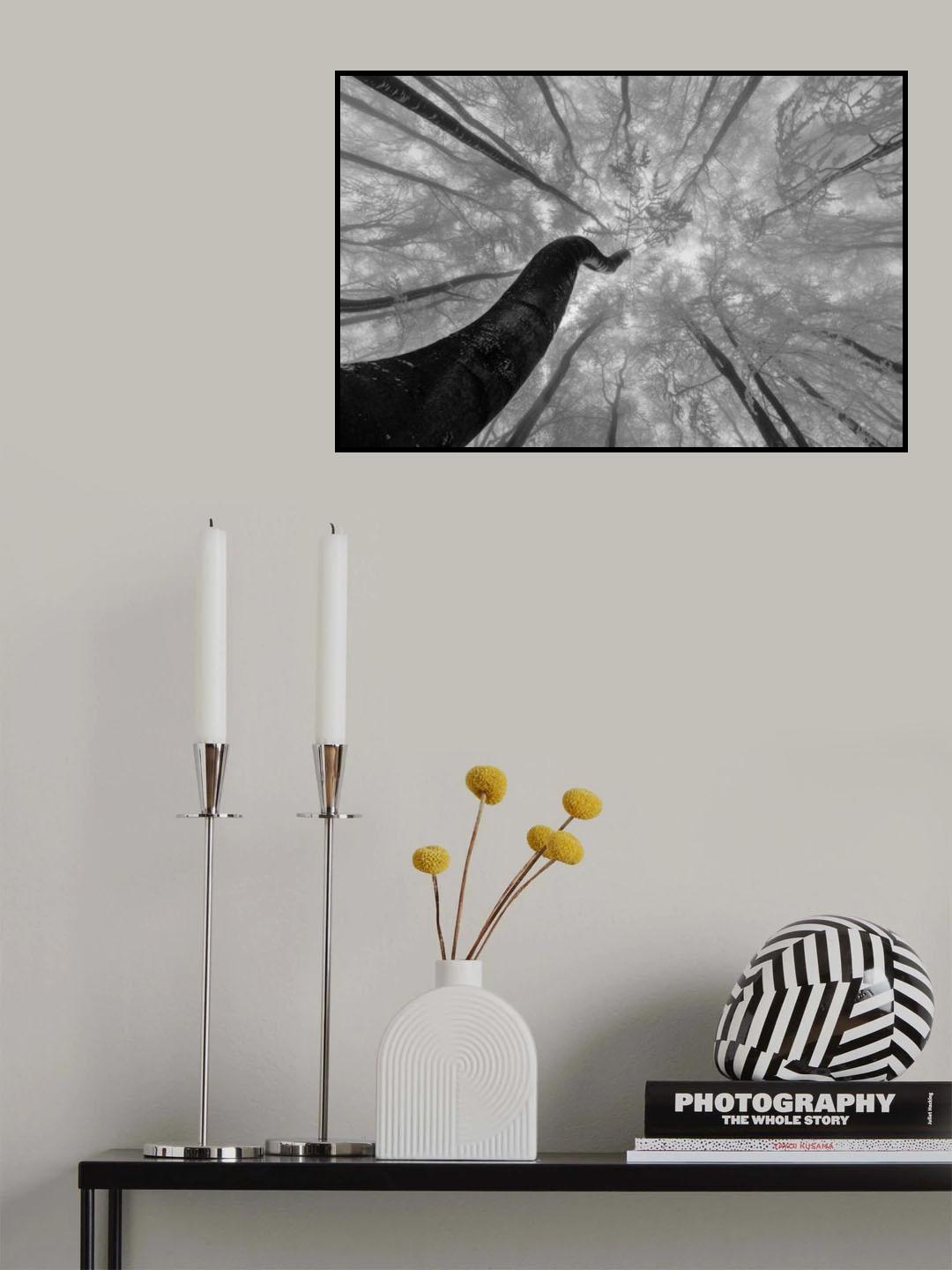 Looking up Poster och Canvastavla