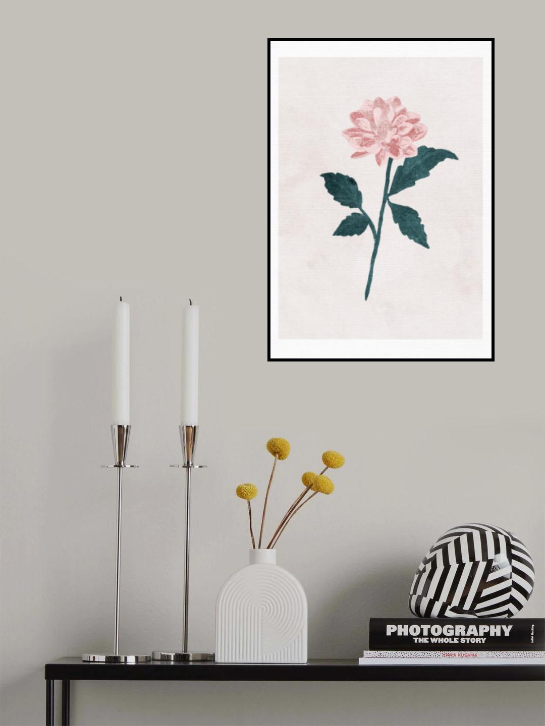 Dahlia Poster och Canvastavla