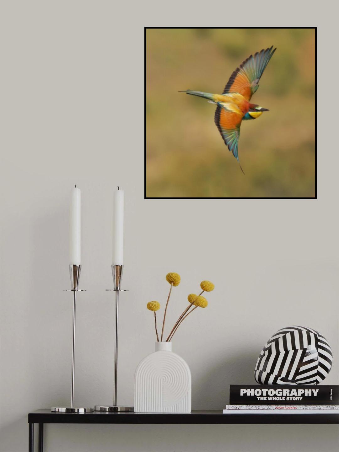 Bee-eater Poster och Canvastavla