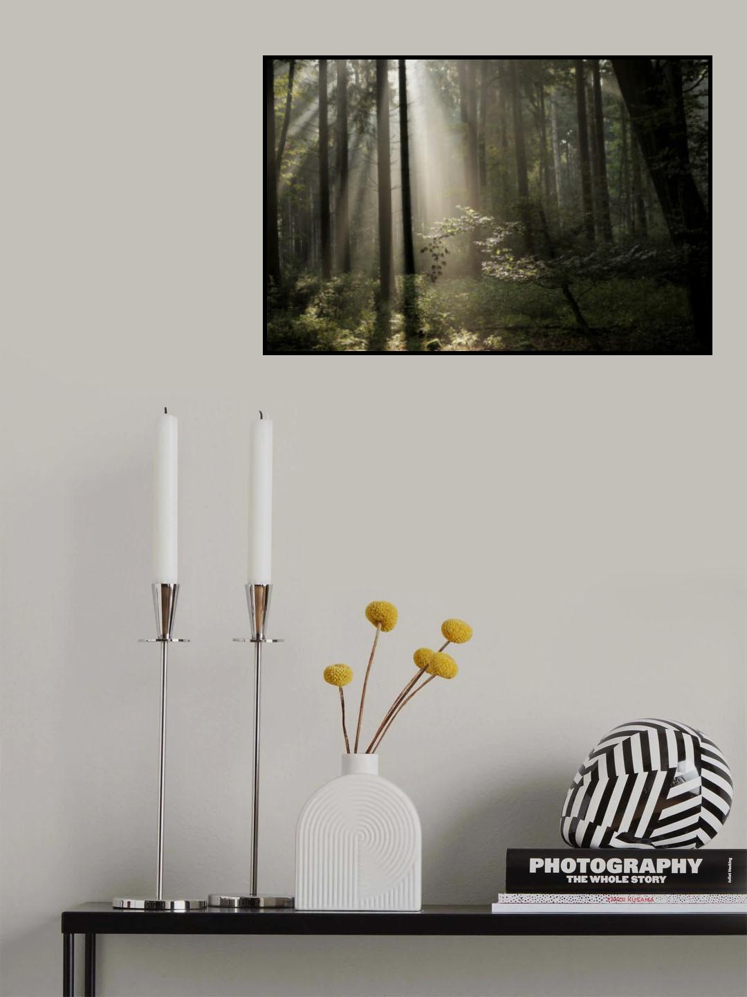 forest bathing Poster och Canvastavla