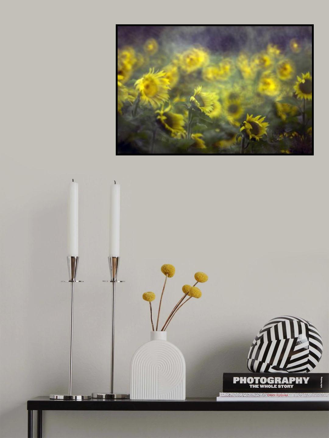 sunflower Poster och Canvastavla