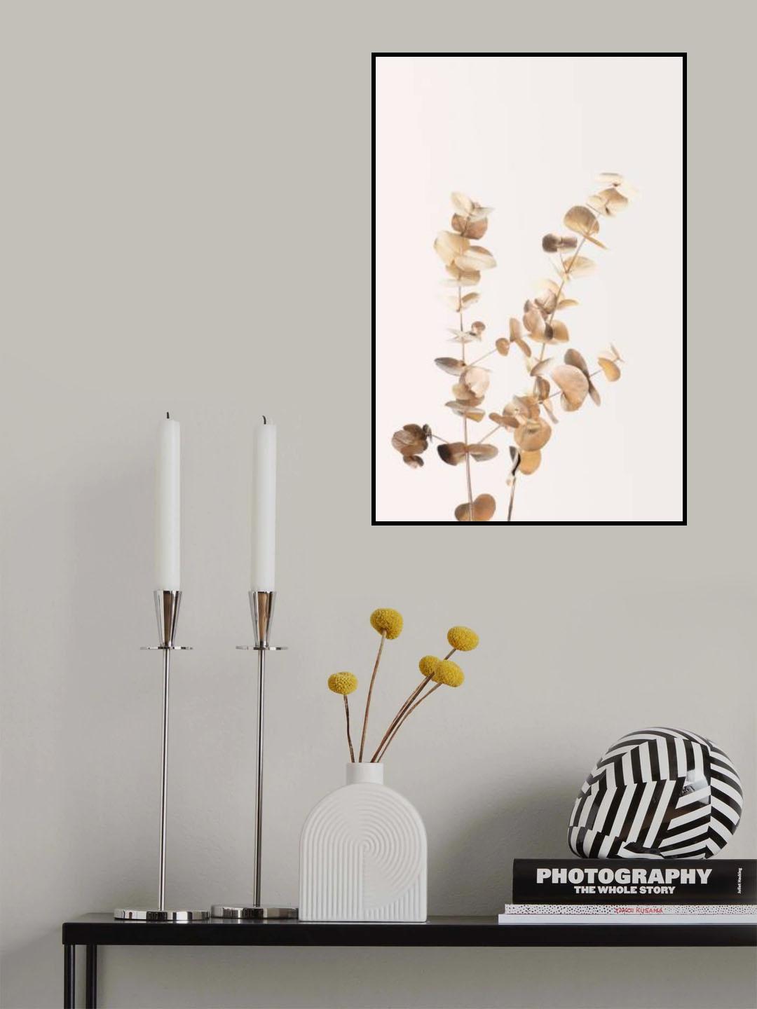 Eucalyptus Gold No 02 Poster och Canvastavla