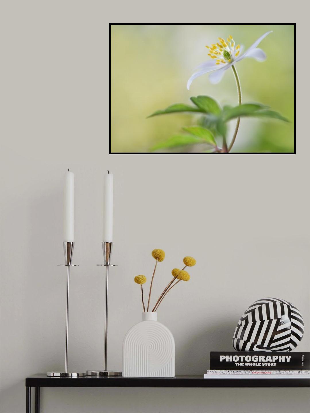 Spring light Poster och Canvastavla
