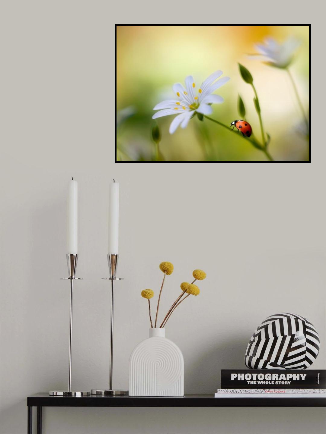 Summer beauties Poster och Canvastavla