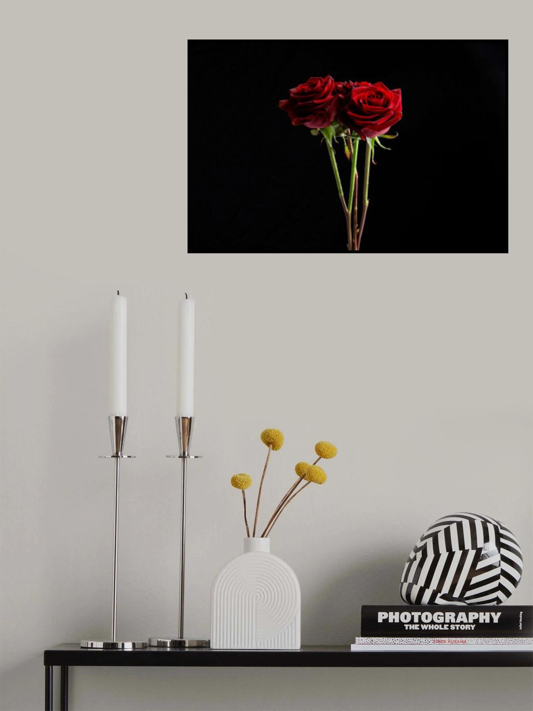 red rose Poster och Canvastavla