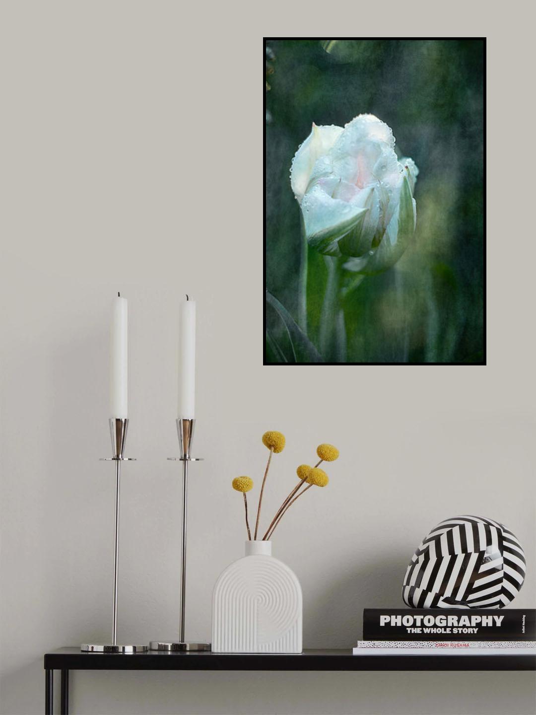Blushing bride Poster och Canvastavla