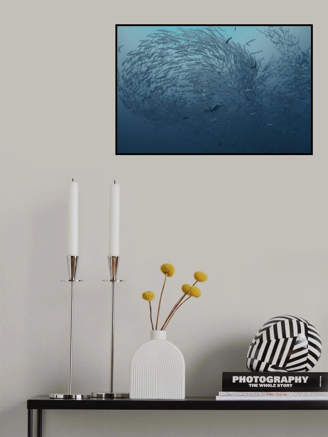 School fish Poster och Canvastavla