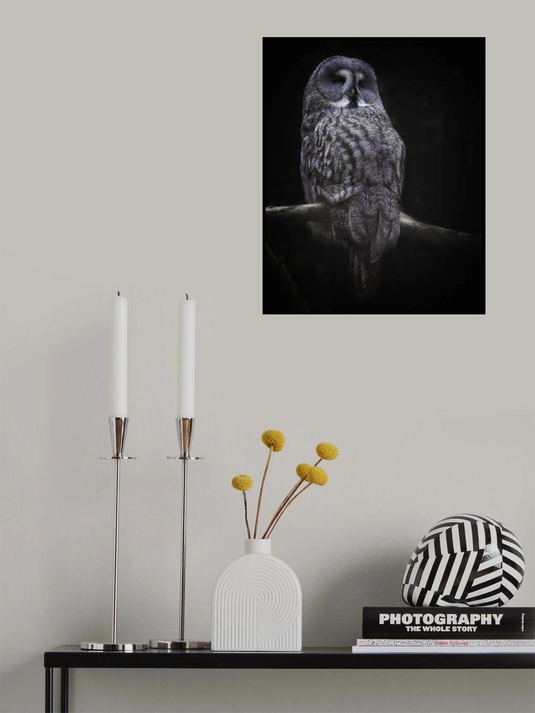 owl Poster och Canvastavla