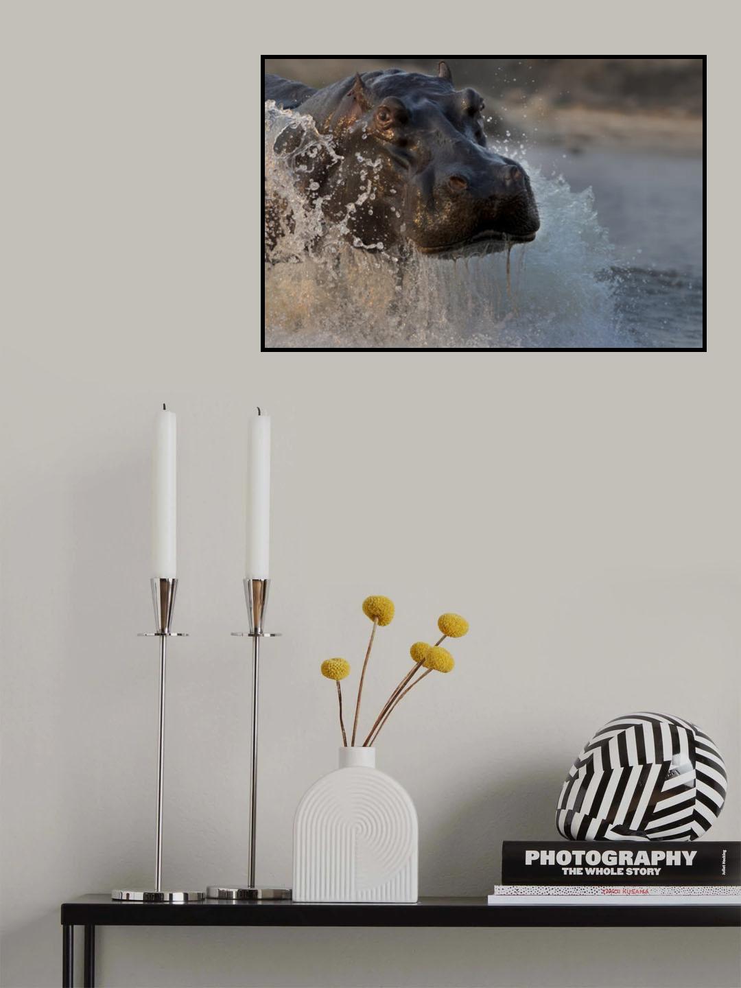 The Hippo Poster och Canvastavla