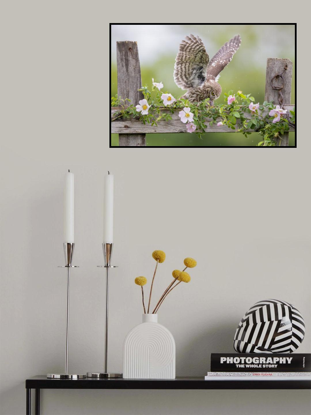 Rain & roses Poster och Canvastavla
