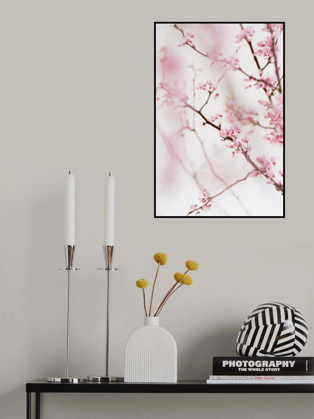 Cherry Blossom No.1 Poster och Canvastavla