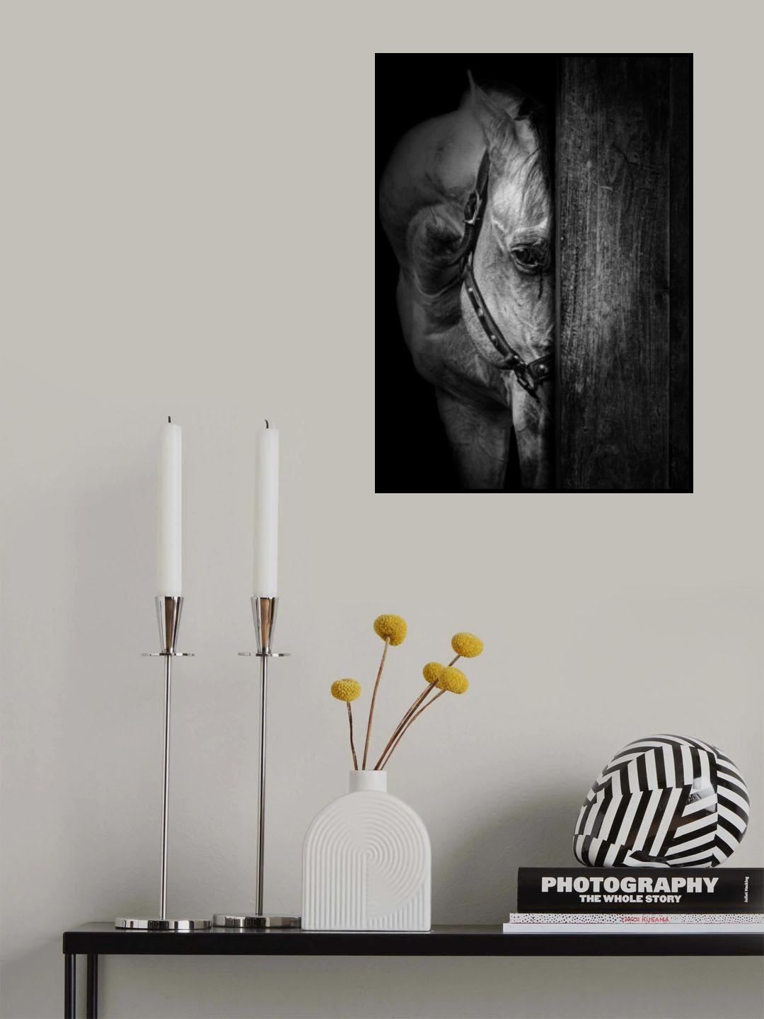 The Horse IX Poster och Canvastavla