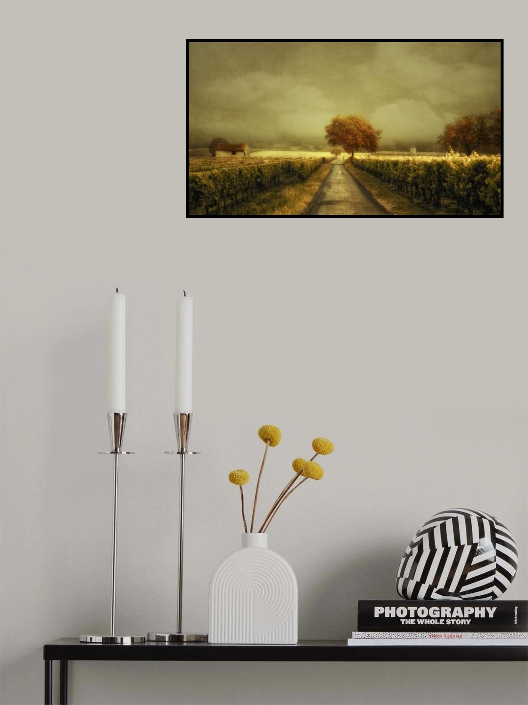 Through the Vineyard Poster och Canvastavla
