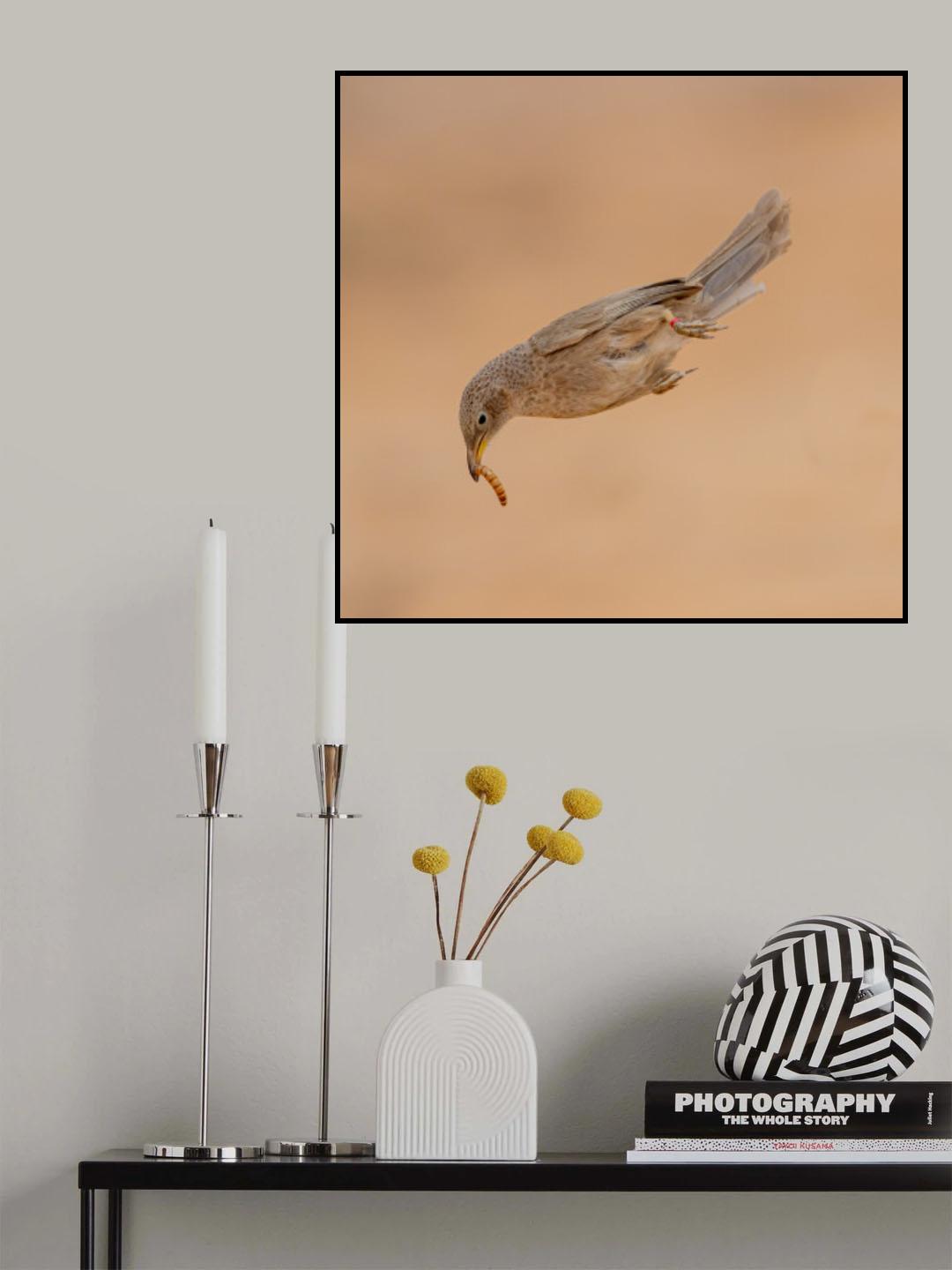Food delivery Poster och Canvastavla